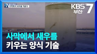 [KBS부산] 풀뿌리 해양K