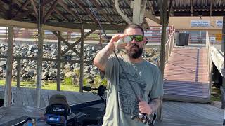 Whippersnapper 2.0 introduction and product description