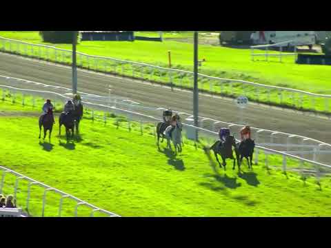 Lopp 9, 8 okt 2017 -  Övrevoll  Terje Dahl Champion hurdle