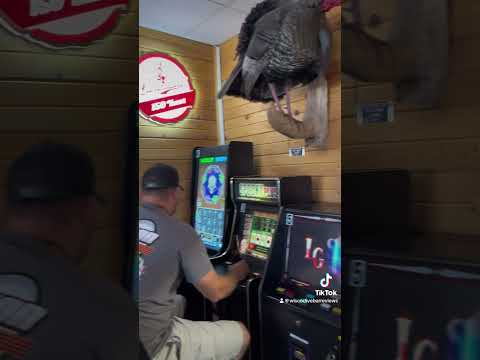 Dam View Bar Video Review