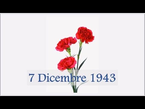 7 Dicembre video