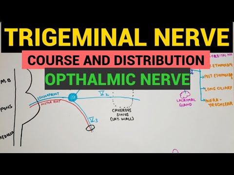 Trigeminal Nerve - 1 | Opthalmic Nerve | Course and Distribution
