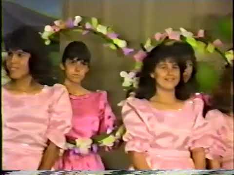 A Primavera - 1988 IAE