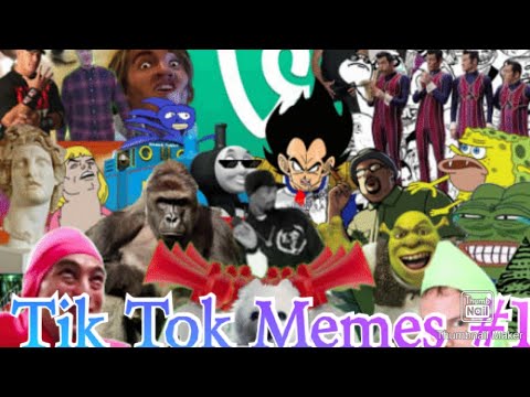 Tik Tok memes compilation #1