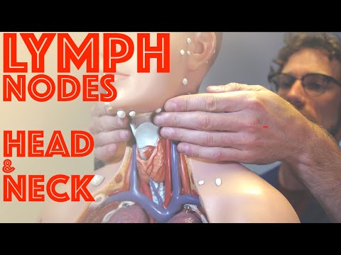 Clinical Examination of Head and Neck Lymph Nodes - Clinical Skills - Dr Gill