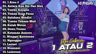 Download lagu 1 ATAU 2 , Antara kau Dia dan aku , DIKE SABRINA FULL ALBUM TERBARU 2025 , DANGDUT KOPLO ‼️ mp3