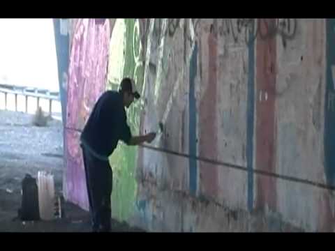 manchas de aprendizaje CAPITULO 03 - INSTINTO