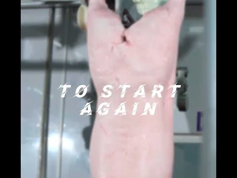 Inside Pig Slaughterhouse #pig #meat #shorts