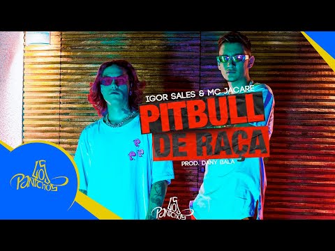 Pitbull de Raça - MC Jacaré, Igor Sales prod. Dany Bala (videoclipe oficial)