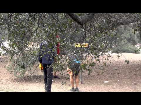 2014 Wintertime Open Round 2 Part 2