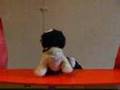 Bshorty Grabs the Mic,Blake lewis,webkinz,pug,pugs - safevids4kids Bshorty Grabs the Mic,Blake lewis,webkinz,pug,pugs