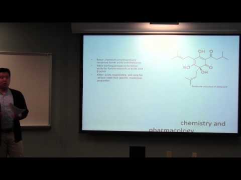 Humulus lupulus (Hops)