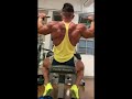 Back workout with Mauro Sassi for Mr. Olympia 212