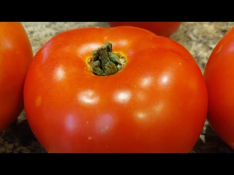 , title : 'Jolene varietas tomat baru'