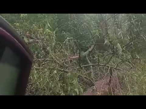 Temporal causa estragos em Salto do Lontra, no Paraná
