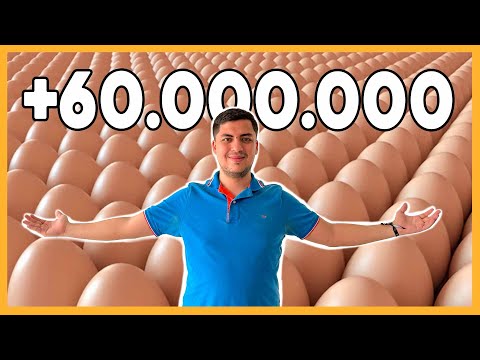 Vender $60M en Producto Real vs 60M Likes: La Diferencia