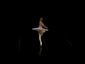 Ballet Video Step By Step Ballet