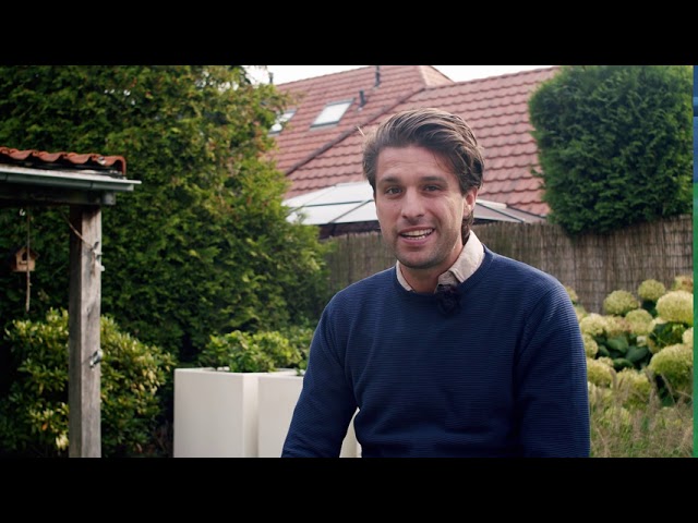 Embryo Chacco Blue x Heartbreaker