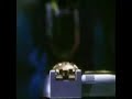 Power Ranger Zeo Morph Red Yellow Blue Green Pink Gold