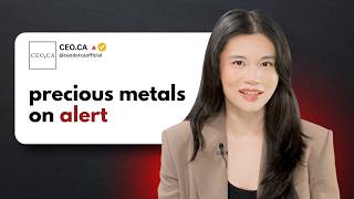 Falling Rate Hike Expectations, and Mining Stock Updates to Watch