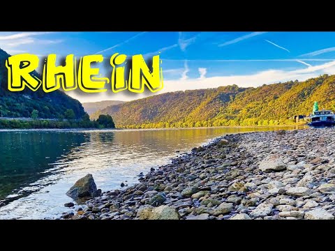 Rhein Impressionen bei Kamp-Bornhofen