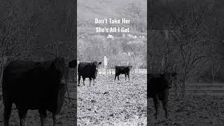 Tracy Byrd - Don’t Take Her She’s All I Got (short)