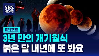 3년 만의 개기월식, 붉은 달 내년에 또 봐요 / SBS / #D리포트