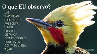 O que é uma foto BOA- Parte I
