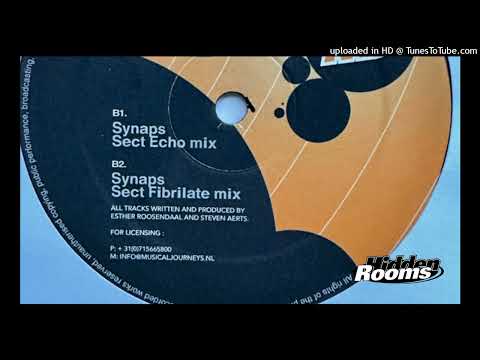 Estroe vs. Sect - Synaps (Sect Echo Remix)