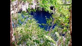 preview picture of video 'CENOTE  YOKDZONOT  YUCATAN  MEXICO'