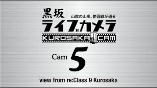 JR伯備線 黒坂の踏切