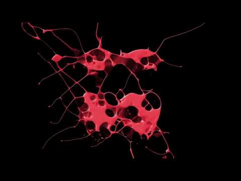 Romine vs Tuccillo - The Dark (Original Club Mix)