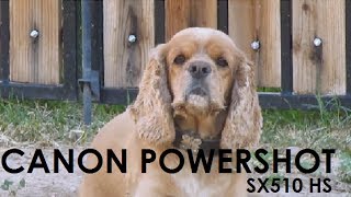 Video thumbnail for Canon Powershot SX510 HS by davidandmaxfilms