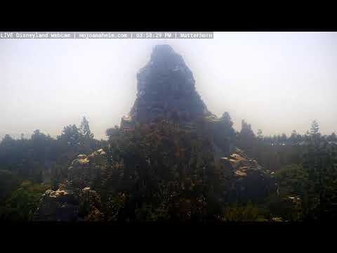 Live webcam of Disneyland Cam