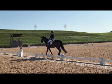 20190825 VADA-NOVA Summer Wind-down Falco 3rd Level MFS (musical freestyle)