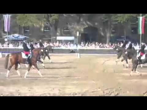 エクウス (エクウス属)について詳しく解説