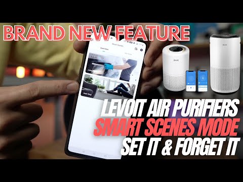 BEST NEW FEATURE FOR AIR PURIFIERS in 2021 - Set it & Forget it Mode // Levoit Smart VeSync Update