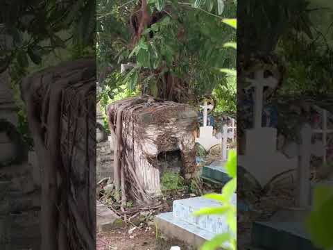 #elsalvador Cementerio de San Juan Talpa