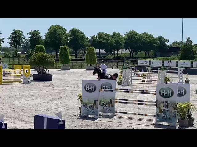 1m40- dam to CAPRI VAN DE SMEETS