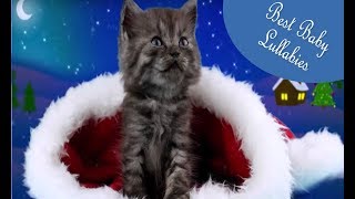 Lullabies Songs To Put A Baby To Sleep Lullaby Lullabies Toddlers Kids Bedtime CHRISTMAS MUSIC