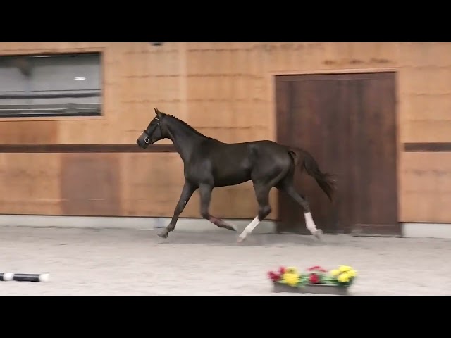 Gaits