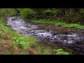 Relaxing River Sounds   Peaceful Forest River   3 Hours Long   HD 1080p   Nature Video