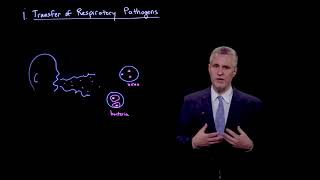 Transfer of respiratory pathogens: Chapter 1 overview
