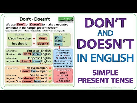 English | Don’t / doesn’t | Bilingual Class 6b