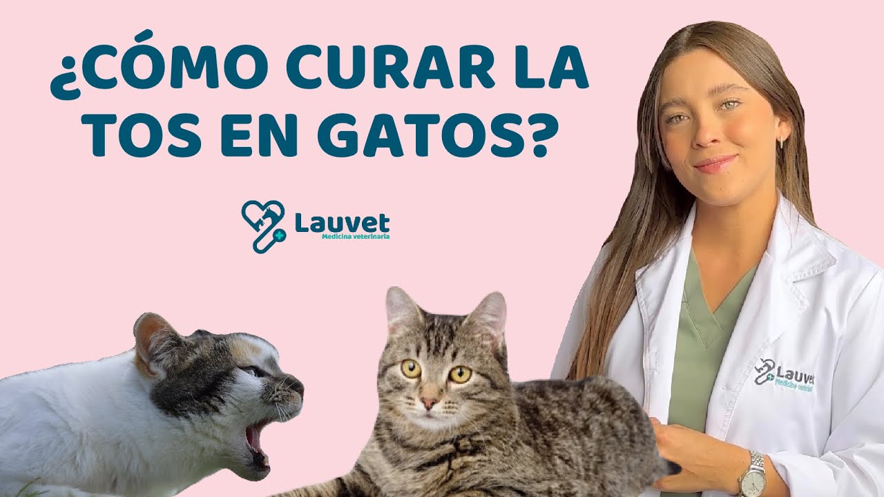 Watch MI GATO TIENE TOS | Causas y Tratamiento - Lauvet Now MI GATO TIENE TOS | Causas y Tratamiento - Lauvet