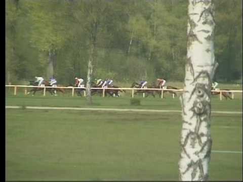 LL, 1. 5. 2017, 5. dostih - CENA SUPRACHOR A MK KOVOKON ALFE S.R.O.