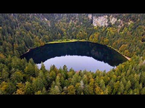Lake Feldsee (Feldberg) in the Black Forest | Aerial (4K)