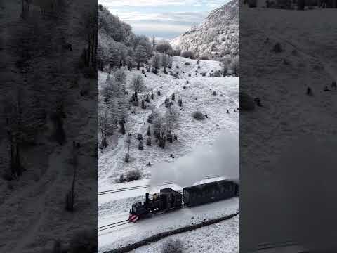 ASÍ AMANECIÓ HOY EL TREN DEL FIN DEL MUNDO 🌍💙🚂❄️