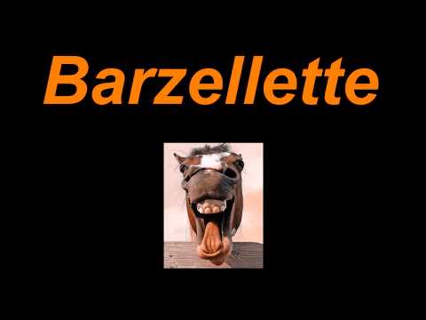 Barzellette sugli animali (3)