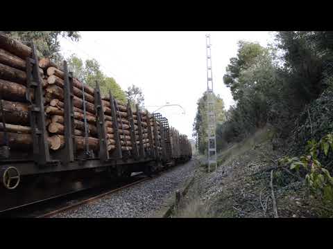 Salvaterra, takargo 6003